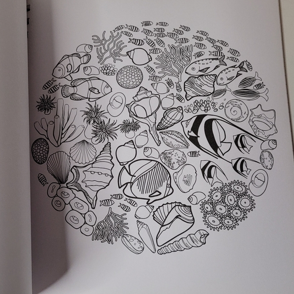 Color and Frame 3 books in 1 Flowers Deserts Oceans NWOT - Picture 6 of 10